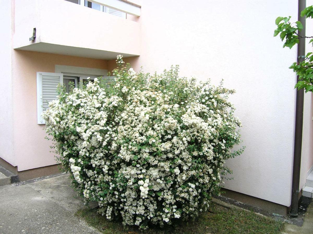 Apartments Sokolovic Krk Town Extérieur photo